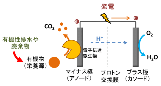 什么是微生物燃料電池？